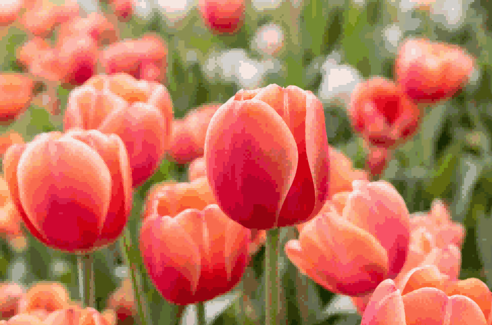 海关数据,bbin宝盈集团官网海关数据,荷兰海关数据