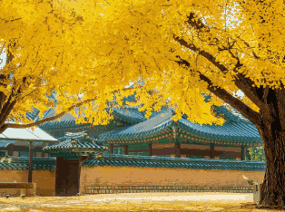 韩国外贸数据,外贸数据,bbin宝盈集团官网外贸数据