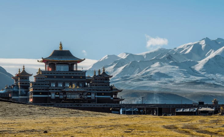 蒙古国海关数据查询平台（附免费试用查询平台）