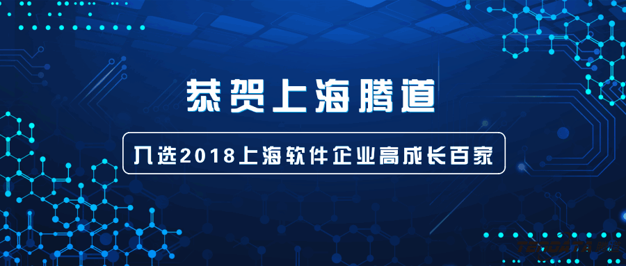 上海软件企业高成长百家,上海bbin宝盈集团官网,经信委,上海bbin宝盈集团官网信息技术有限公司